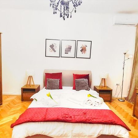 Spacious 5* Luxury In Historic Center Free Parking 克卢日-纳波卡 外观 照片