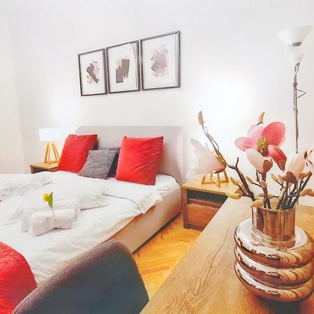 Spacious 5* Luxury In Historic Center Free Parking 克卢日-纳波卡 外观 照片