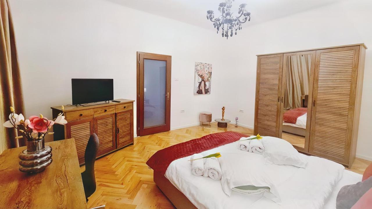 Spacious 5* Luxury In Historic Center Free Parking 克卢日-纳波卡 外观 照片