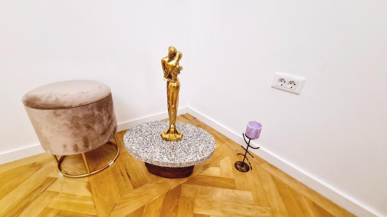 Spacious 5* Luxury In Historic Center Free Parking 克卢日-纳波卡 外观 照片