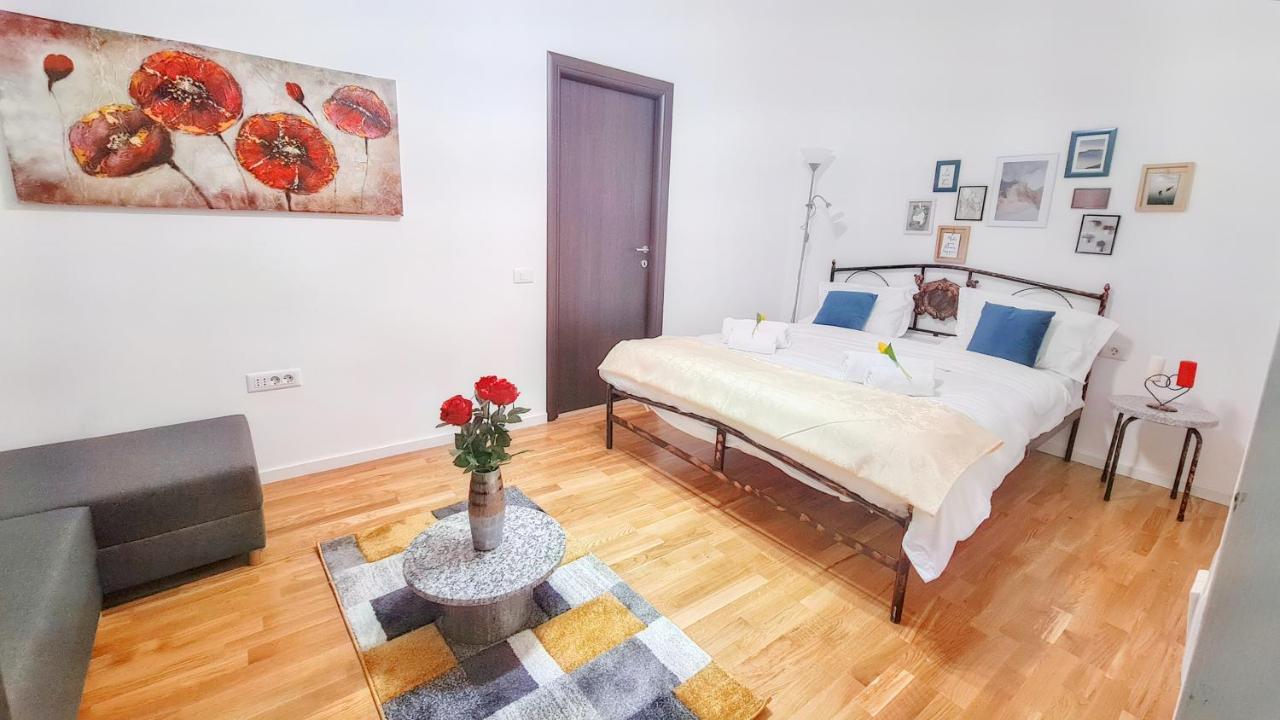 Spacious 5* Luxury In Historic Center Free Parking 克卢日-纳波卡 外观 照片