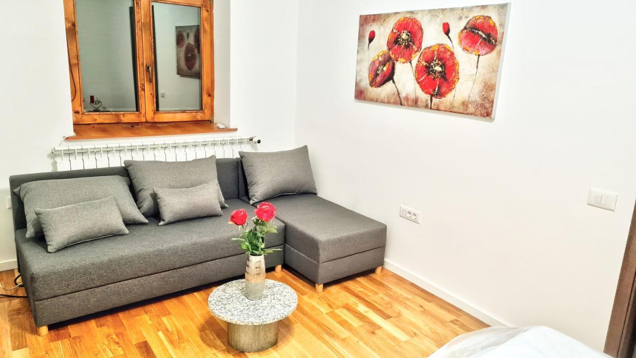 Spacious 5* Luxury In Historic Center Free Parking 克卢日-纳波卡 外观 照片