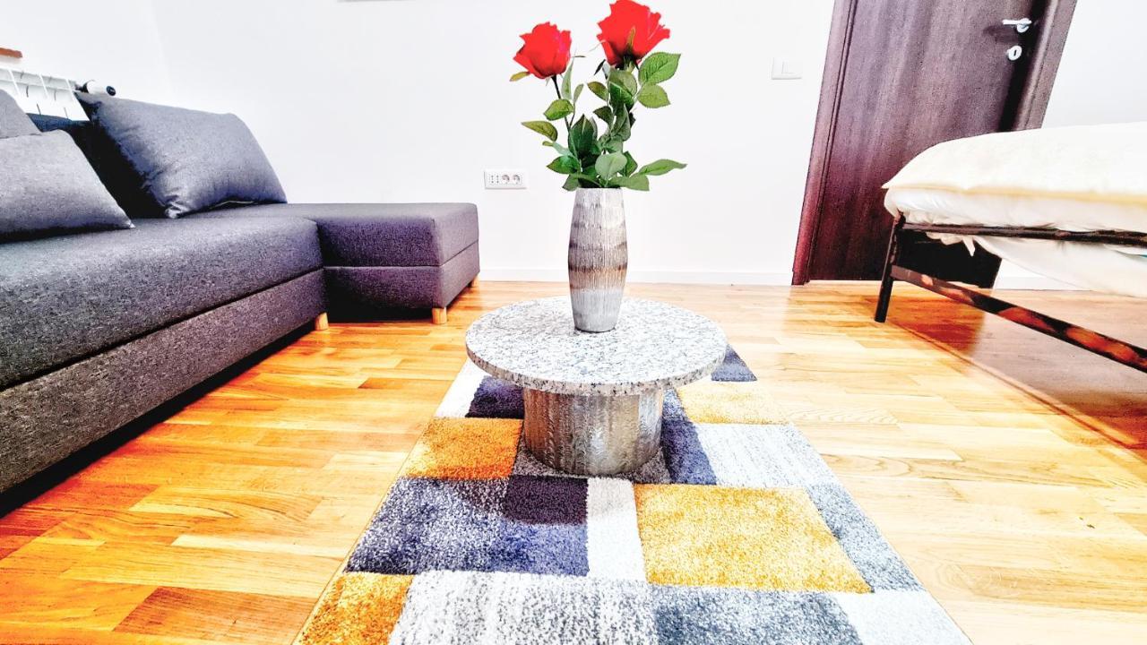 Spacious 5* Luxury In Historic Center Free Parking 克卢日-纳波卡 外观 照片