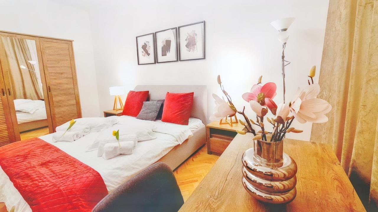 Spacious 5* Luxury In Historic Center Free Parking 克卢日-纳波卡 外观 照片